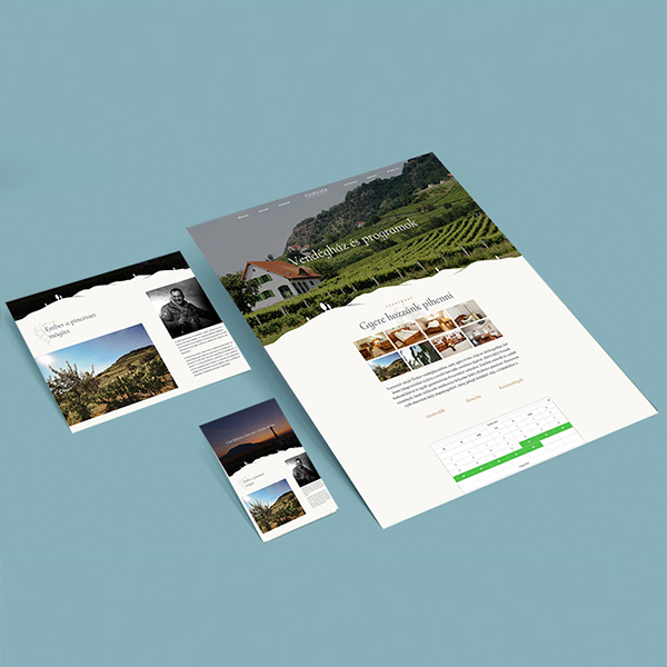 Portfolio item